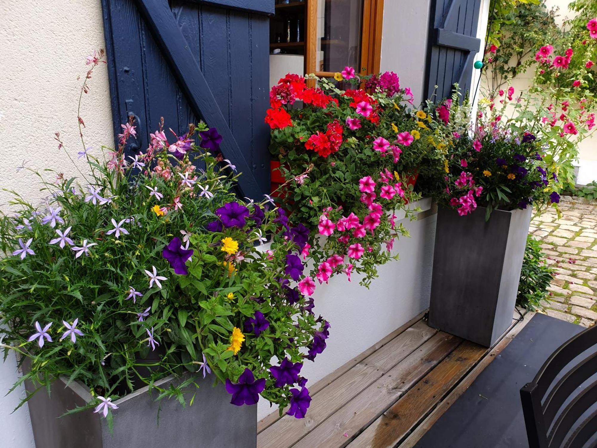 Bed and Breakfast Les Glycines Ury Екстер'єр фото