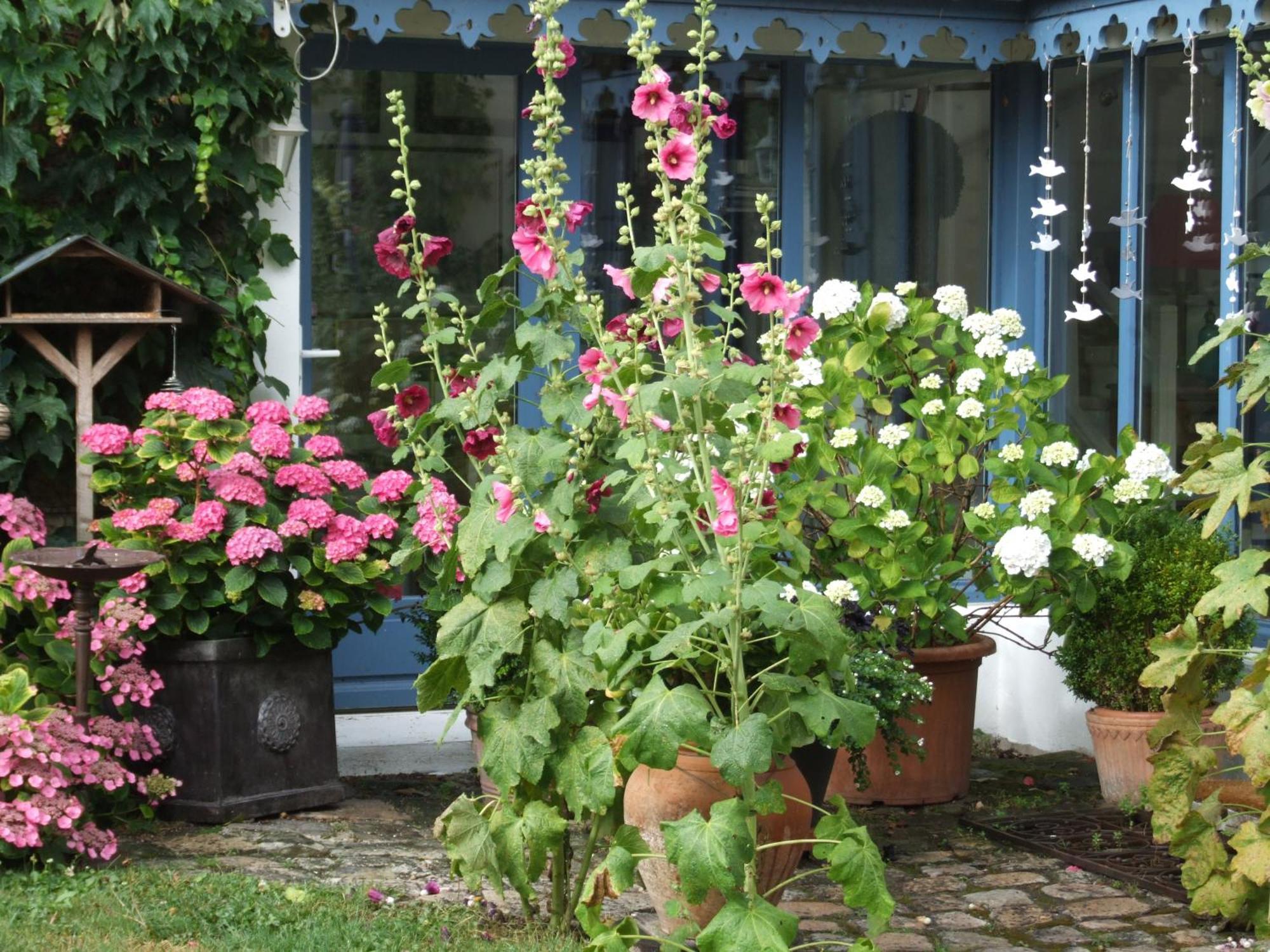 Bed and Breakfast Les Glycines Ury Екстер'єр фото